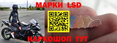 прущие грибы Апшеронск