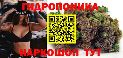 эйфоретик Аргун