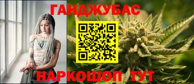 эйфоретик Аргун