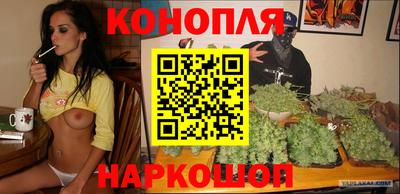 прущие грибы Апшеронск