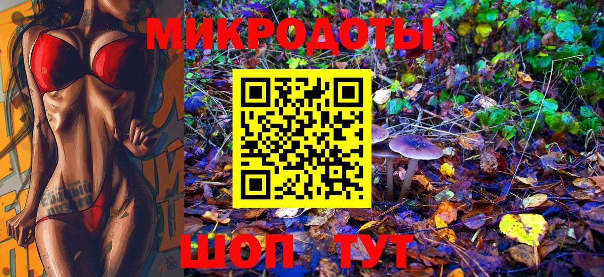 Вичуга  Галлюциногенные грибы Psilocybe  Вход с VPN 